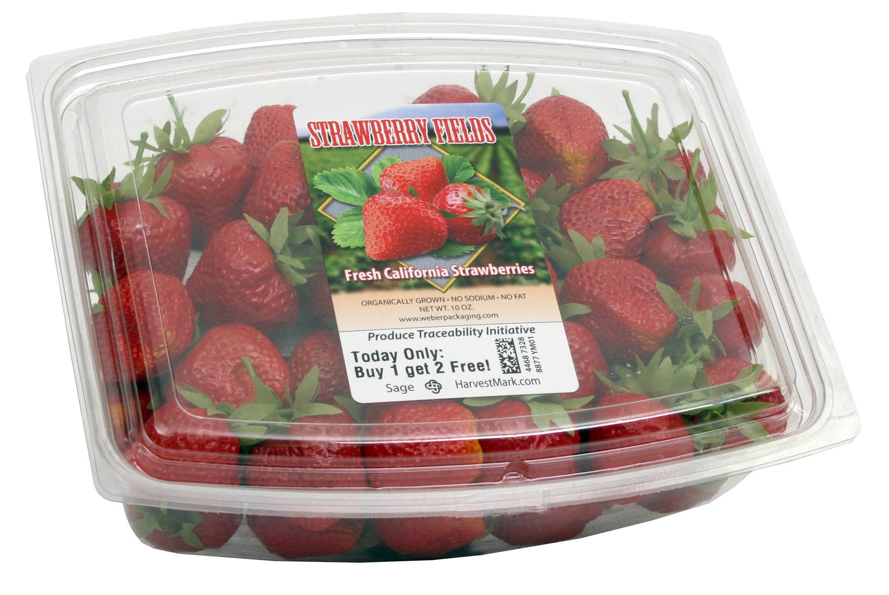 Strawberry_Fields_Labeled_Container Strawberry_Fields_Labeled_Container